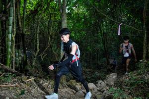 BIB: 
                            <button type="button" onclick="openModal(19440695)" class="btn btn-primary btn-sm float-right btn-popup" data-toggle="modal" data-target=".modal-high-quality">
                        <i class="fas fa-shopping-cart"></i> Add to Cart
                    </button>
                                            <button type="button" onclick="isThisMe(19440695, true)" class="btn btn-success btn-sm float-right btn-popup btn-isme hidden" data-toggle="tooltip" data-placement="bottom" title="นี่คือรูปของคุณใช่ไหม คลิกที่นี่เพื่อเอาเข้าอัลบั้ม">
                        <i class="fas fa-plus"></i> Add to album
                    </button>
                    <button type="button" onclick="isThisMe(19440695, false)" class="btn btn-warning btn-sm float-right btn-popup btn-isnotme hidden">
                        <i class="fas fa-ban"></i> Remove from album
                    </button>